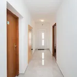 Appartamento Ljuba Primošten